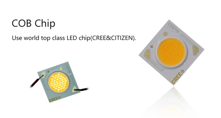 8W 10W Diameter 110mm Triac Dimming Recessed COB LED Downlight with Oval Hole