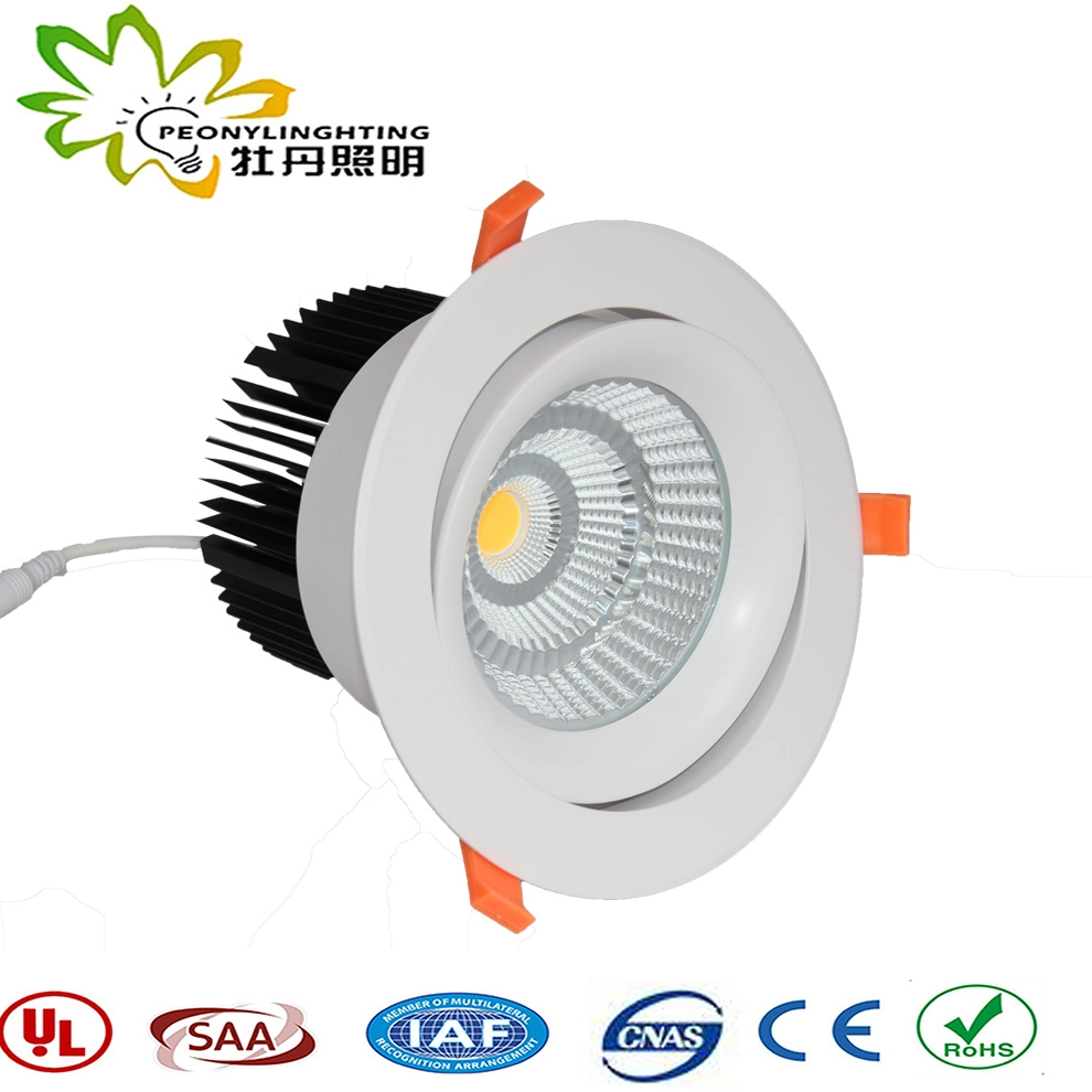 COB LED 50W Downlight SAA Approval Australia Standard, LED Down Light, LED Spot Down Light