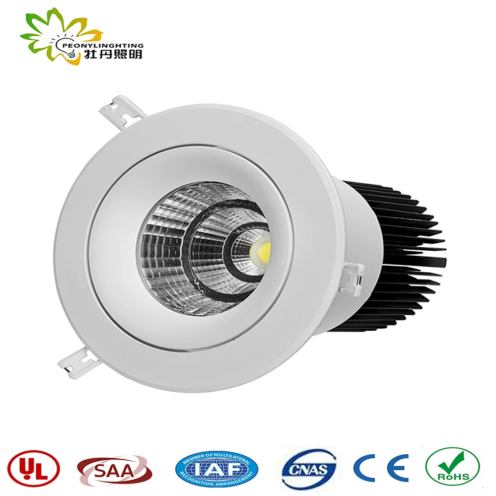 COB LED 50W Downlight SAA Approval Australia Standard, LED Down Light, LED Spot Down Light