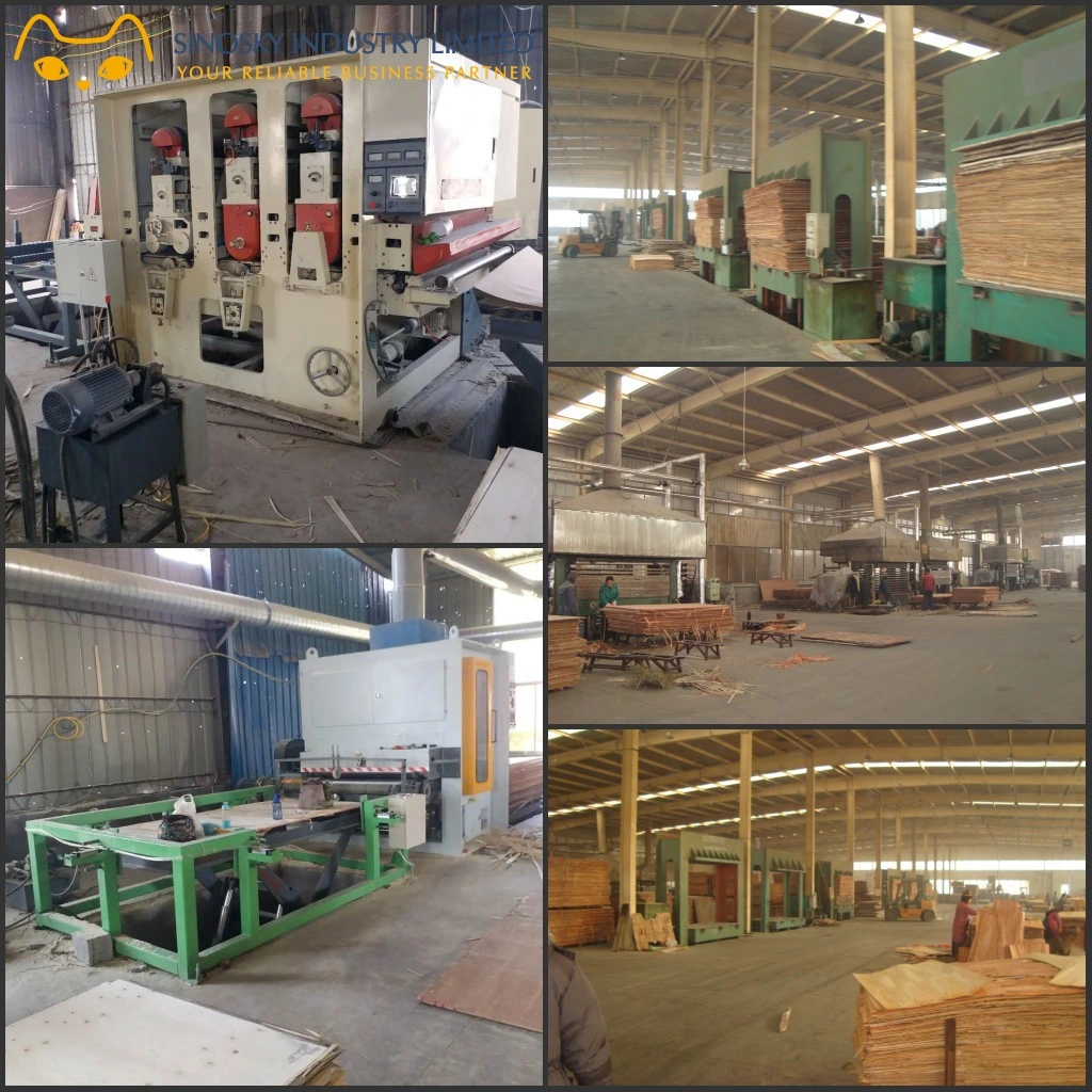Pine Plywood Packing Use Polar Core 18mm Pine Veener Plywood