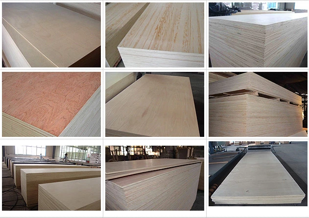 Pine Plywood Packing Use Polar Core 18mm Pine Veener Plywood