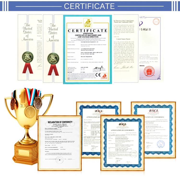 China Professional Ruijie Fiber Laser 1000W 2000W 3000W Metal Cutting
