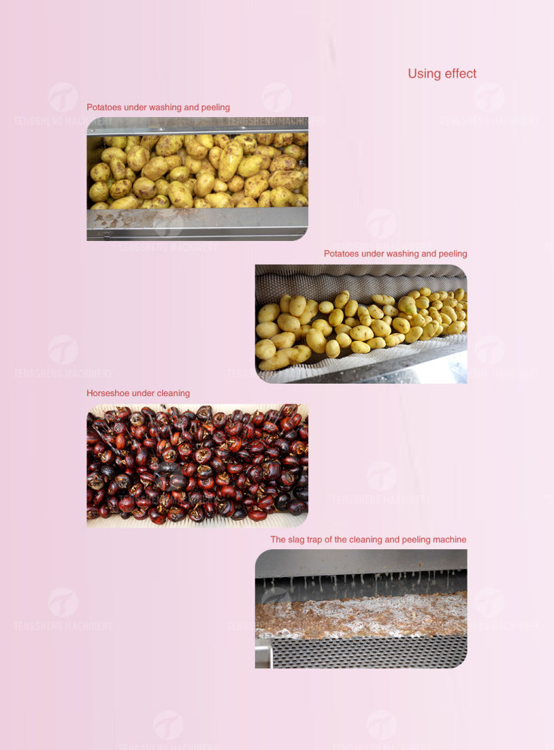 Electric Field Snail Cleaner Brush-Type Field Snail Washing Machine (TS-M800)