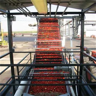 Tomato Paste Packing Machine	Fresh Tomato Ketchup Recipe Tomato Pulper	Tomato Paste	Canned Tomato Sauce