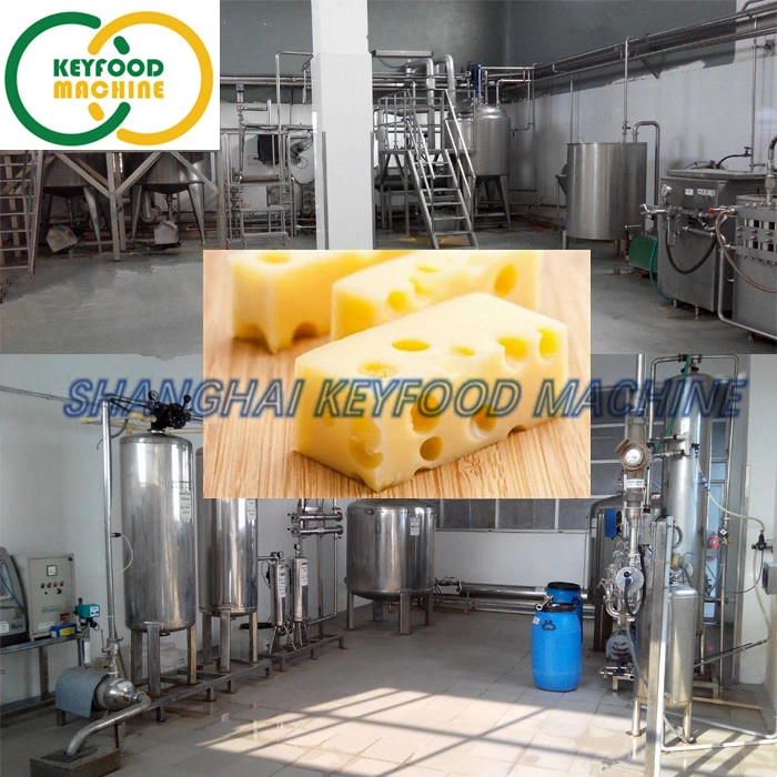 Automatic Cheese Making Machine for Mozzarella Cheese