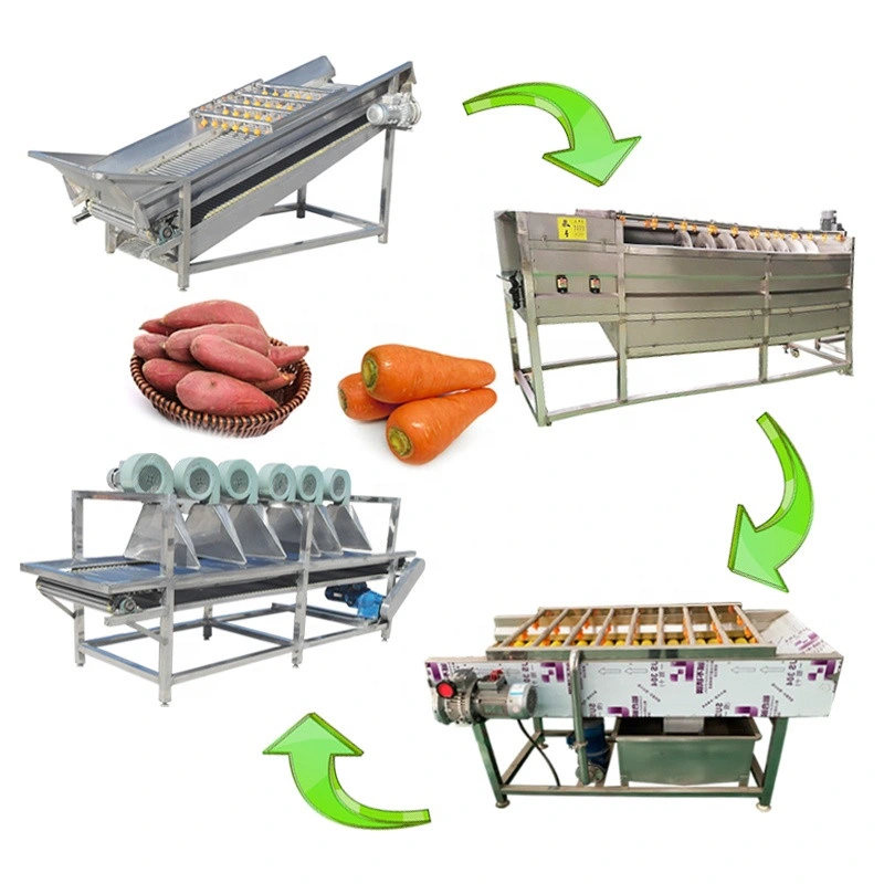 Vegetable Machine Baby Carrot Cutting Washing Peeling Drying Production Line Carrot Peeler Machine Manufacturer