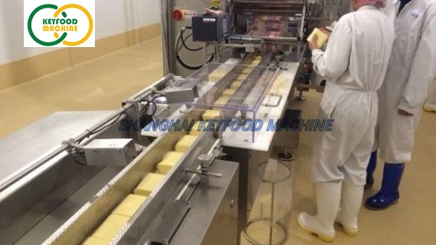 Automatic Cheese Making Machine for Mozzarella Cheese