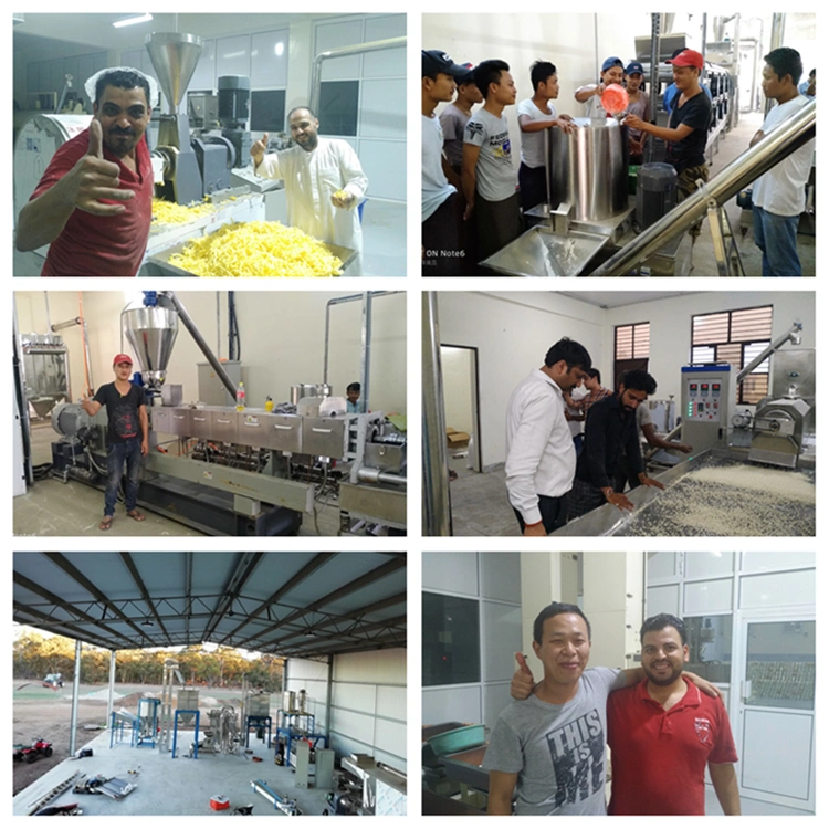 Extruded Pet Food Machinery Puffed Dog Cat Dry Food Processing Machine