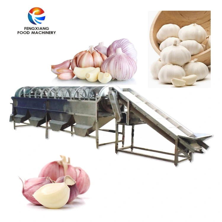 Og-505 Garlic Grading Machine Garlic Sorting Machine