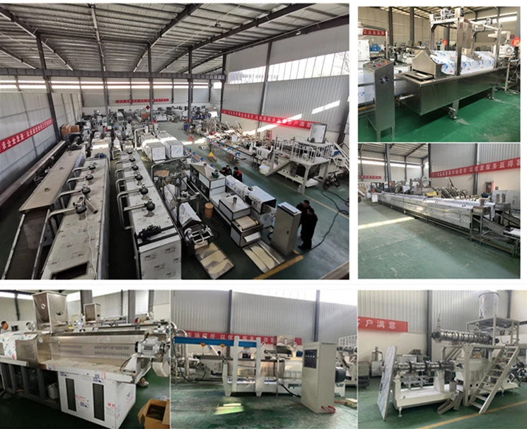 Extruded Pet Food Machinery Puffed Dog Cat Dry Food Processing Machine