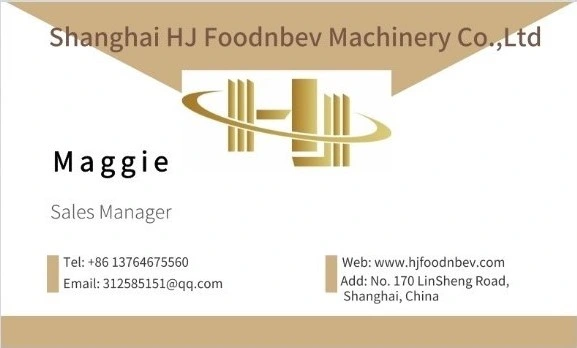 Stainless Steel Chain Conveyor for Beer Juice Filling Machine Packing Machine Conveyor