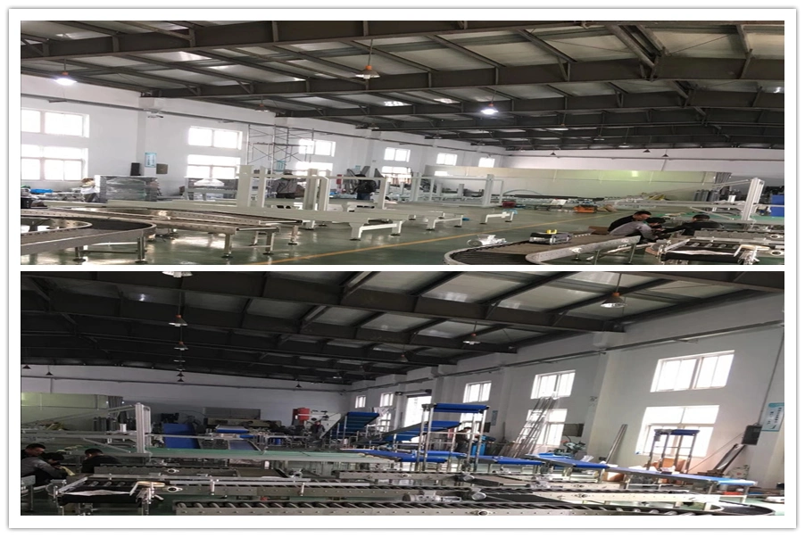 Conveyor System, Flat Top Modular Belt Conveyor Line Product Cheese Wafer Transfer Line Upload Conveyor