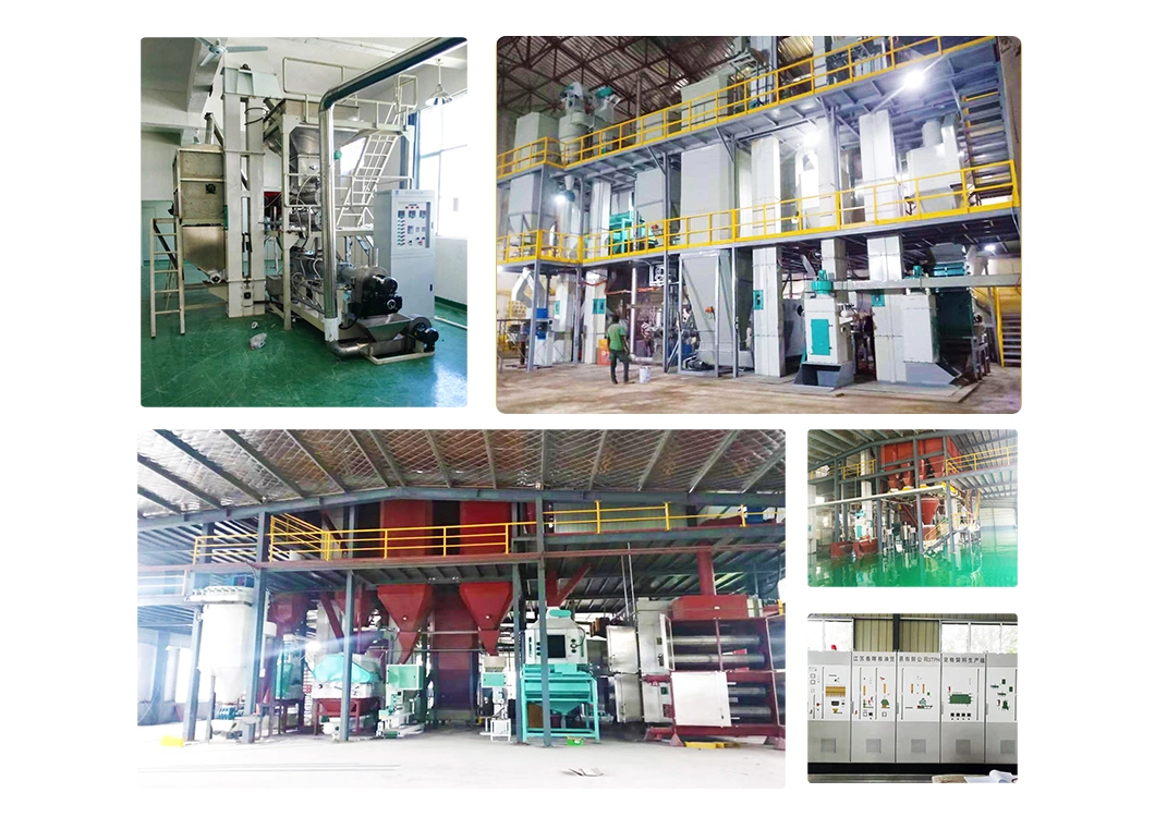 Fully Automatic Twin-Screw Potato Chip Professional Extrusion Manufacturing Machine