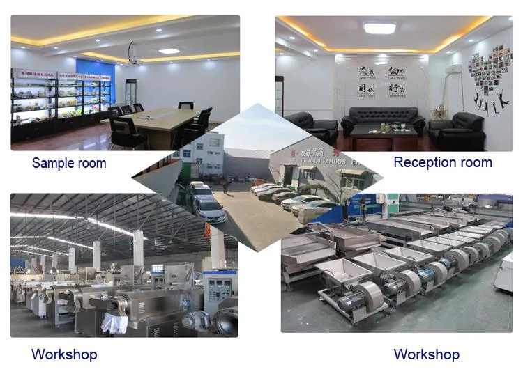 Slanty Food Bar Twin Screw Extruder Prices Puffed Corn Snacks Chip Making Machine