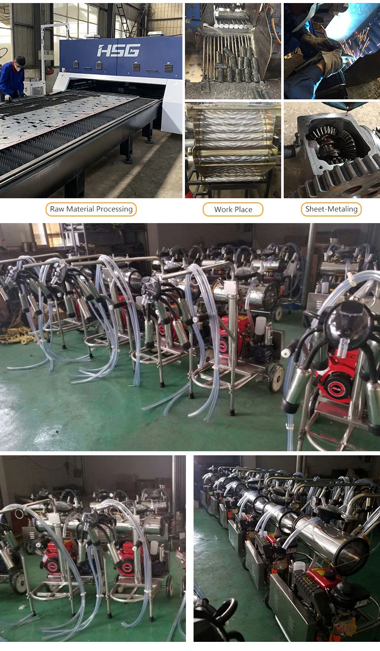 Dairy Equipment Vacuum Pump for Milking Machine Goat Milking Machine