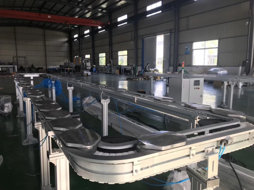 Customized Multi-Purpose Plastic Table/Flat Top Chain Conveyor Food Standard Chain Conveyor