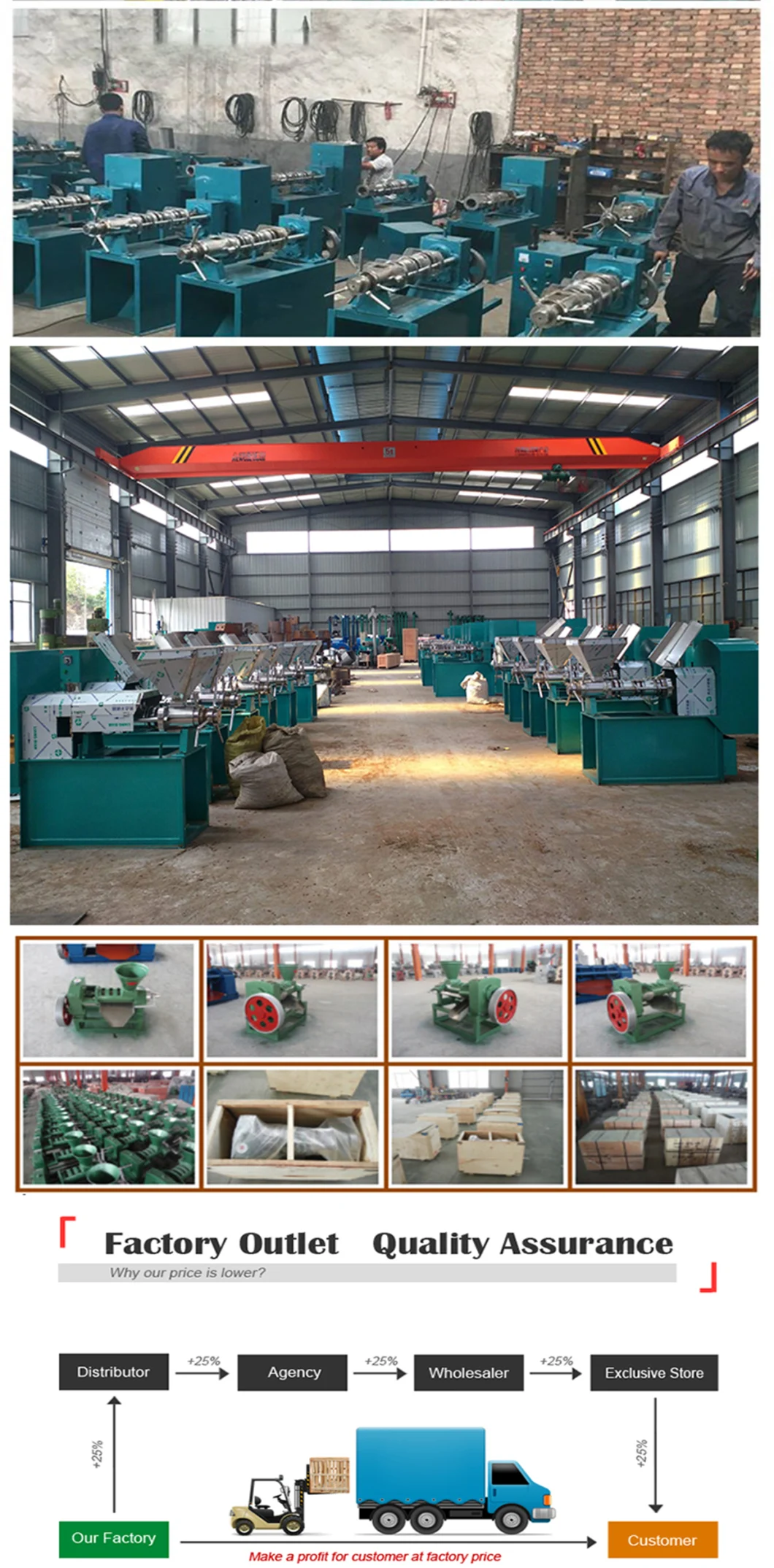 Screw Oil Press Machine in Oil Pressers Screw Oil Press Machine for Pressing Plant Oil