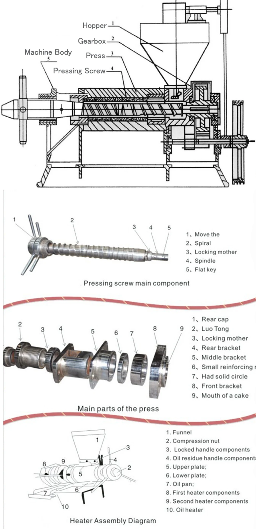 Screw Oil Press Machine in Oil Pressers Screw Oil Press Machine for Pressing Plant Oil