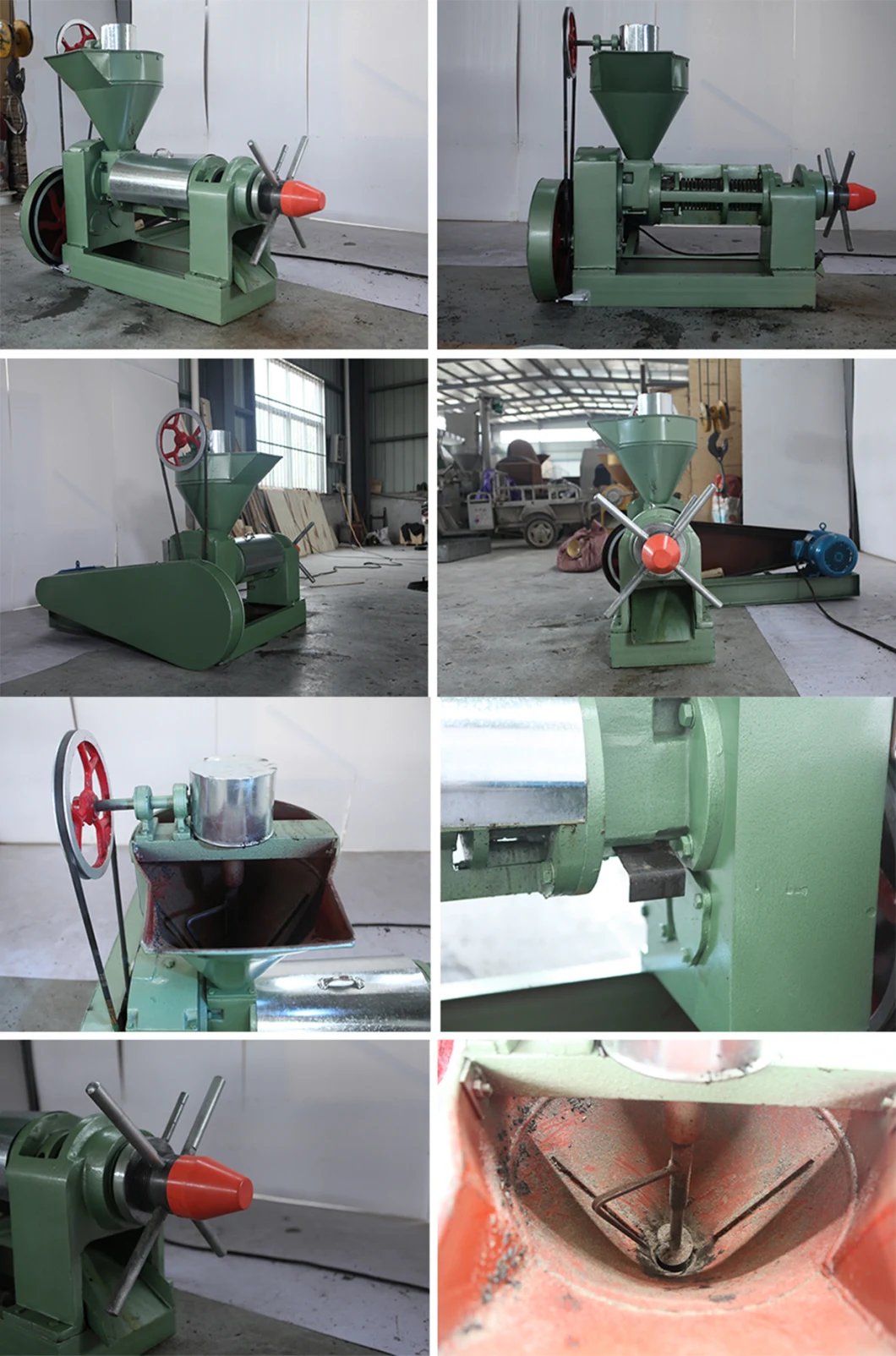 Screw Oil Press Machine in Oil Pressers Screw Oil Press Machine for Pressing Plant Oil