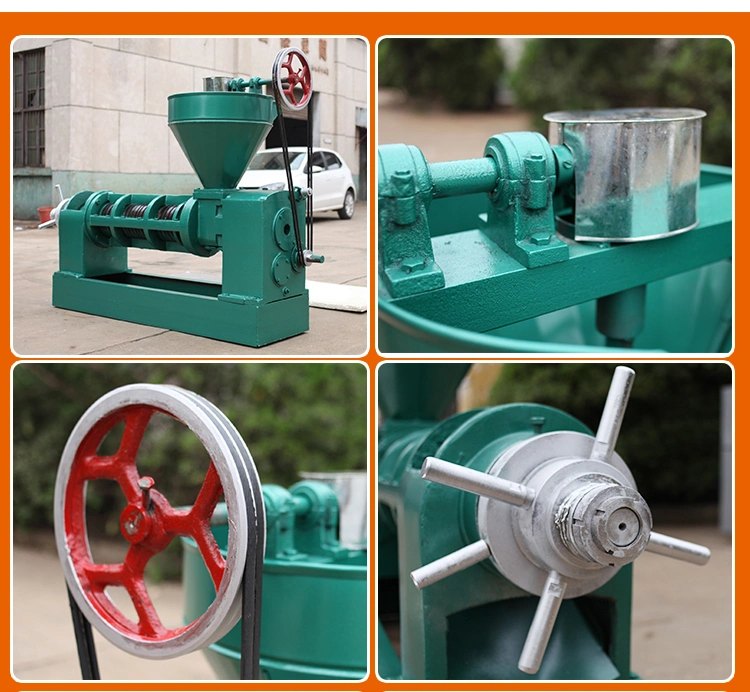 6yl Small Commercial Oil Press Machine Screw Oil Press /Cooking Oil Making Machine/Electric Oil Machine