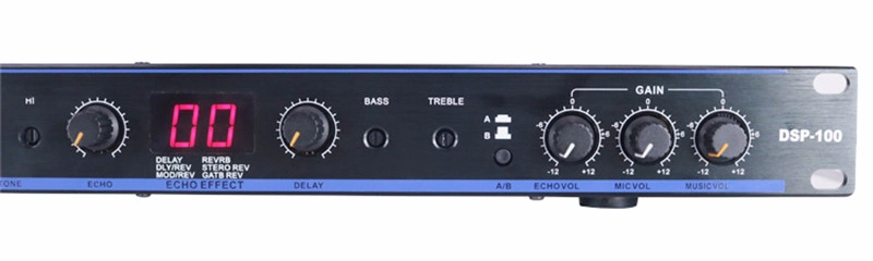 Professional DSP-100 2 Signal Inputs DSP Professional Audio Karaoke Digital Processor