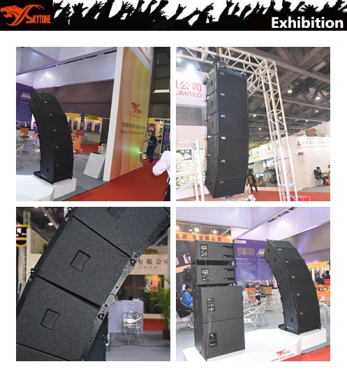 Line Array Factory Direct Best Concert or PA Speakers