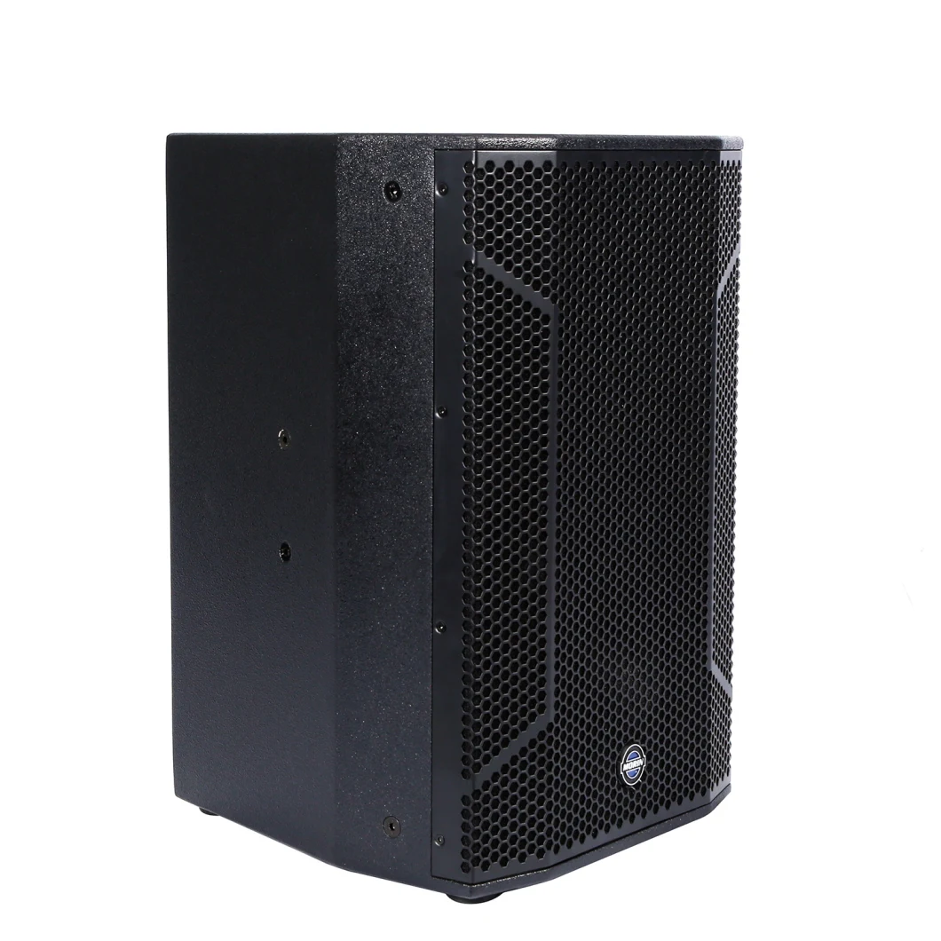 12 Inch 2-Way Karaoke Speaker for KTV Karaoke Sound System