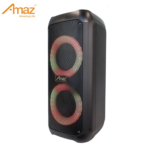 Amaz Customized Partybox Double 6.5 Inch Karaoke Speakers with Ring Light