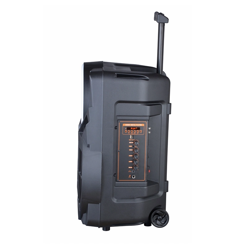 New DJ Home Theater Professional Wireless Karaoke Party Portable Bluetooth Party PRO Audio Active Trolley Speaker