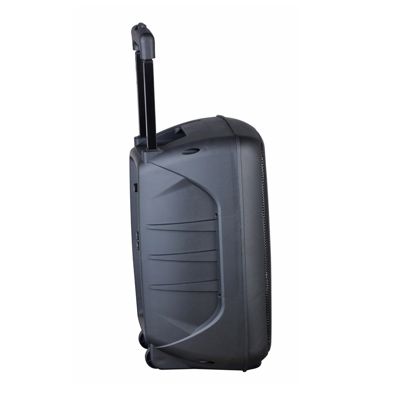 New Professional Mobile Wireless Home Theater Karaoke Party Portable Bluetooth Party PRO Audio Active Trolley Speaker