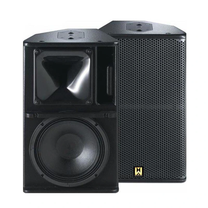 PS10-R2 Single 10-Inch Full Range PRO Audio Stage Monitor Speaker