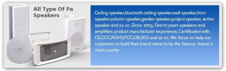 Cheap Price Ceiling Speaker Lth-8115 PA Speaker 5