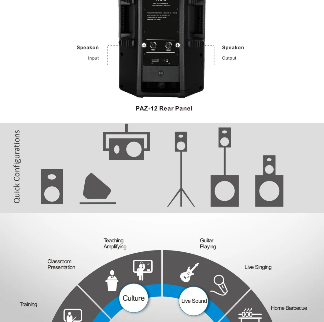 Paz-12D1 2-Way Full Range Speaker Professional Speaker