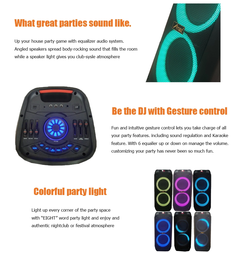 Amaz Customized Partybox Double 6.5 Inch Karaoke Speakers with Ring Light