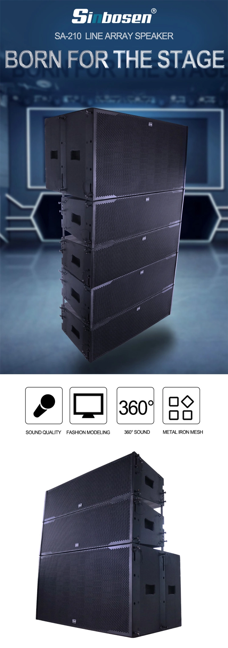 DJ Line Array Speakers SA208b (DSP) 12inch Speaker Professional Portable Speaker