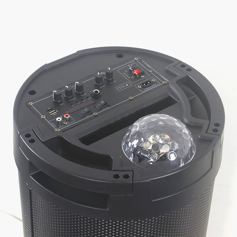 Professional Party Home Theater HiFi Disco Ball Woofer Karaoke PRO Audio Mobile Party Speaker