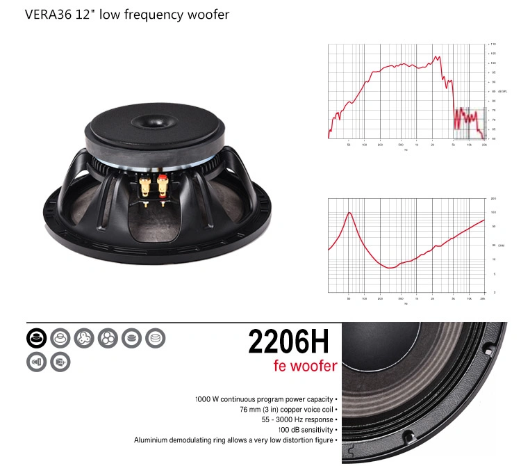 Dual 12 Inches Vera36 PA Sound Audio Line Array Speakers