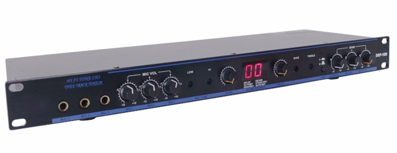 Professional DSP-100 2 Signal Inputs DSP Professional Audio Karaoke Digital Processor