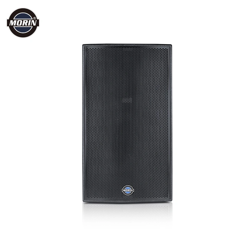 Passive PRO Concert Speakers Design 15 Inch Speakers