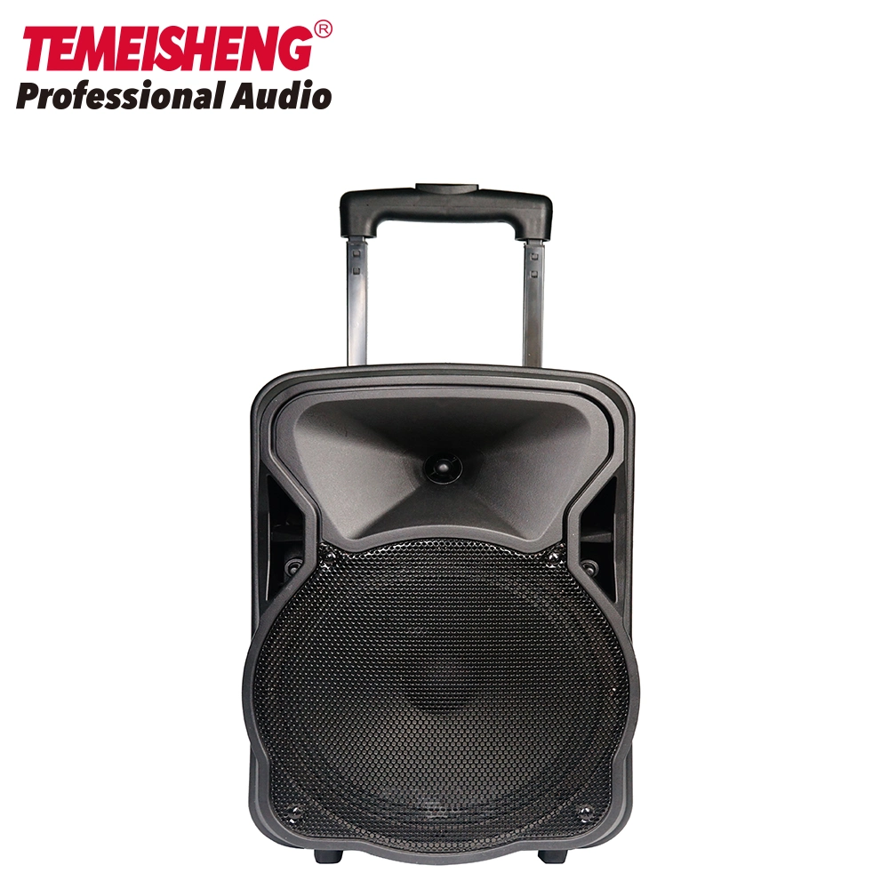 Sound Systems Portable Karaoke Speaker Box DJ Speaker