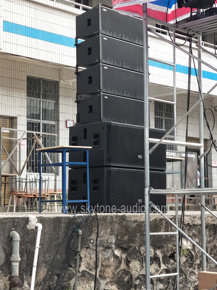 Dual 12 Inches Vera36 PA Sound Audio Line Array Speakers