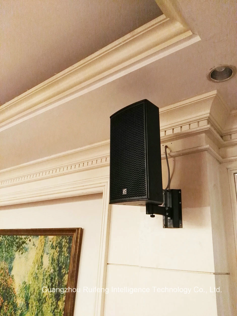 Professional Speaker All Size Full Range Speaker and Subwoofer for Portable Live Show and Installation