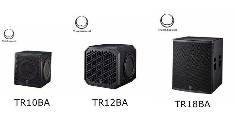 10 Inch Active Full Range Loudspeaker Two Way Loudspeaker Multifunctional Speaker Tr10A