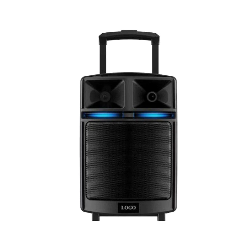 Leisound Multifunction 10 Inch Speaker Big Power Subwoofer DJ PA Speakers Outdoor Portable Trolley Speaker