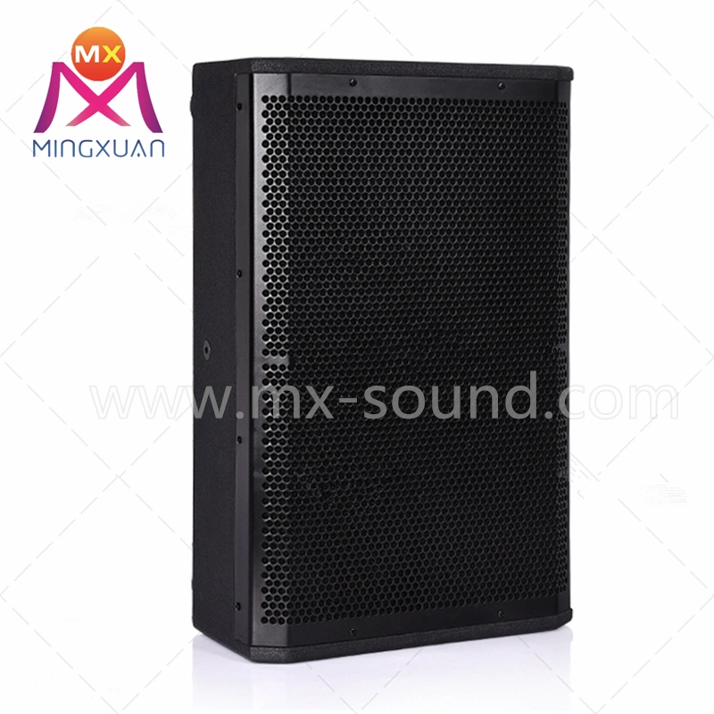 Professional Disco Active Speaker Cabinet PA Speaker