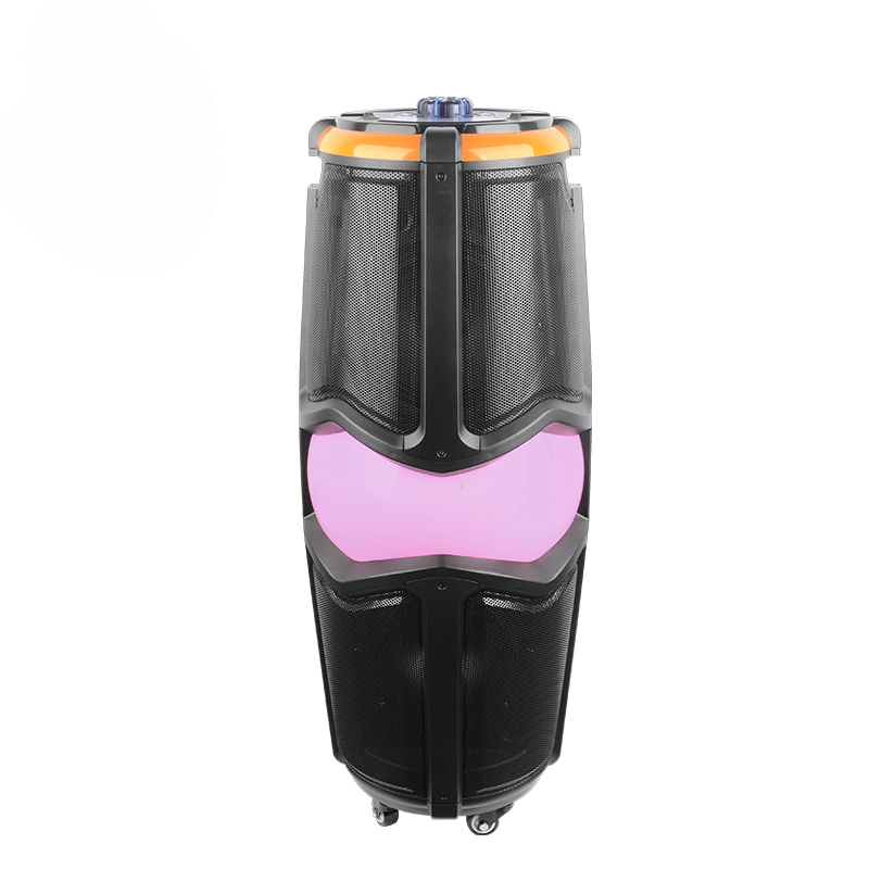 New Arrival Portable Trolley Speaker Karaoke Speaker with DJ Mixer PA Speaker System