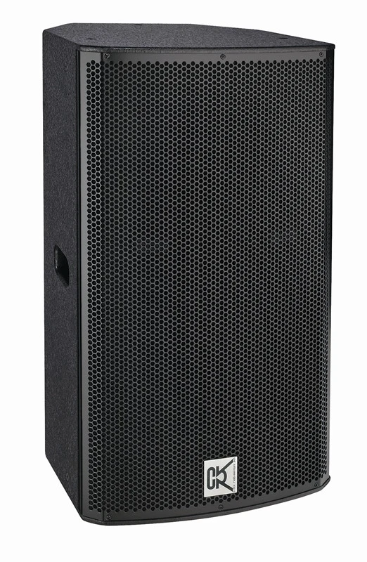 Club High Power Speaker Cabinet 15inch 12inch Powered PA Speakers