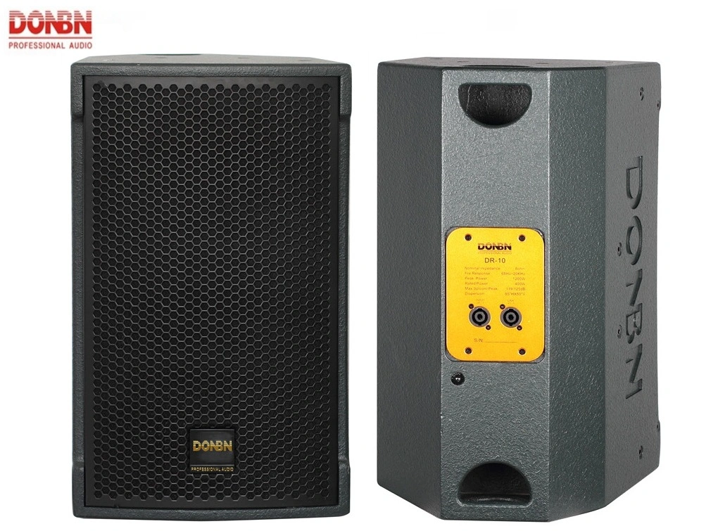 Donbn Dr-10 B&C Portable Speaker Audio System KTV Speaker