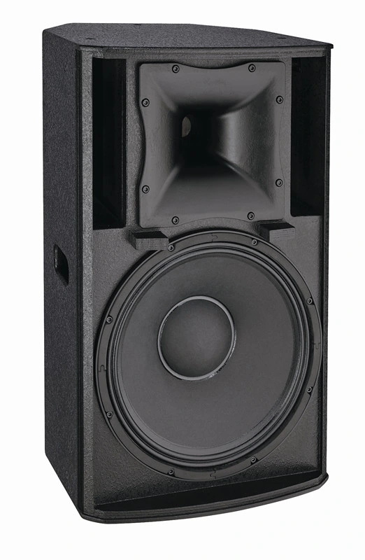 Club High Power Speaker Cabinet 15inch 12inch Powered PA Speakers