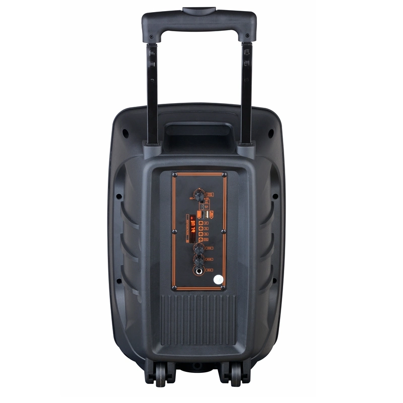 New Professional Outdoor Wireless Home Theater Karaoke Party Portable Bluetooth Party PRO Audio Active Trolley Speaker